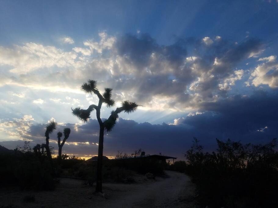 Steph'S Panorama Paradise-Nat'L Park Minutes Away Joshua Tree Exteriér fotografie