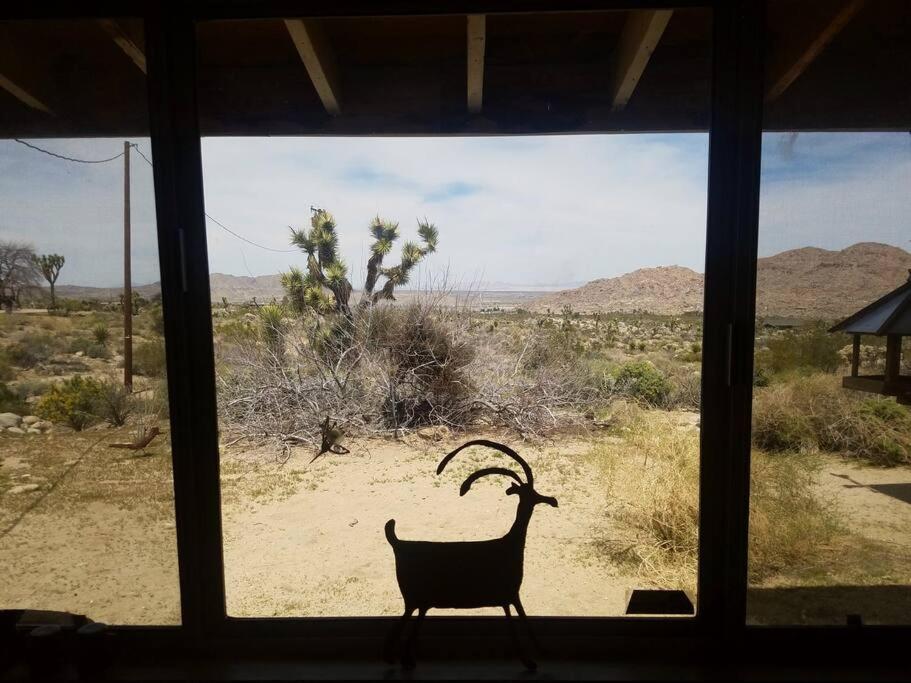 Steph'S Panorama Paradise-Nat'L Park Minutes Away Joshua Tree Exteriér fotografie
